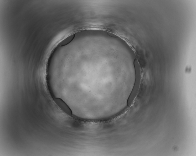 X0000102380293200808151903