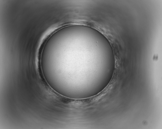 X0000102380294200808151903