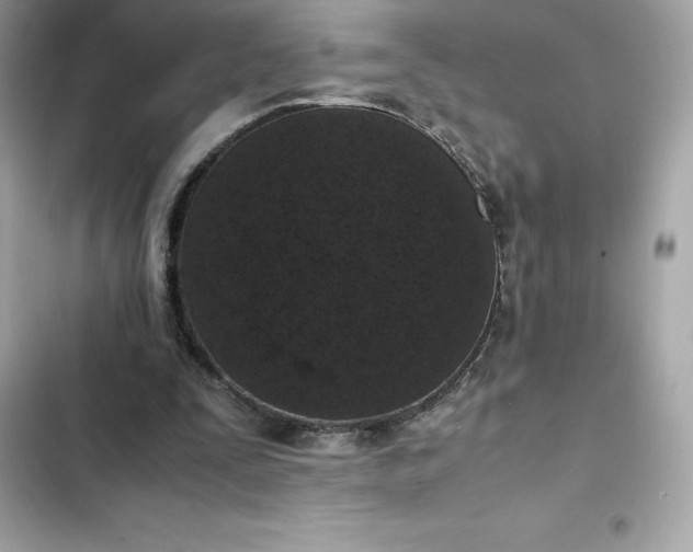 X0000102380295200808151903