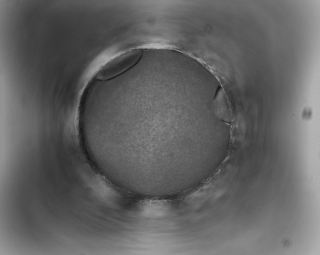 X0000102380296200808151903