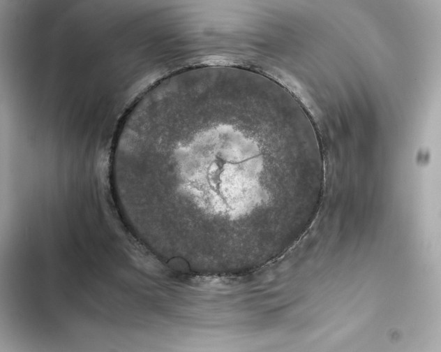 X0000102380297200808151903