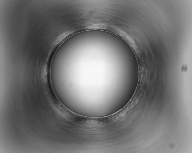 X0000102380298200808151903