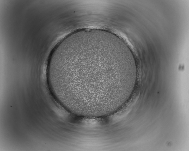 X0000102380299200808151903