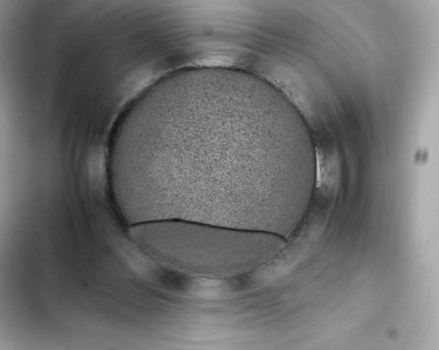 X0000102380300200808151903