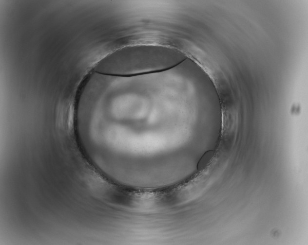 X0000102380301200808151903