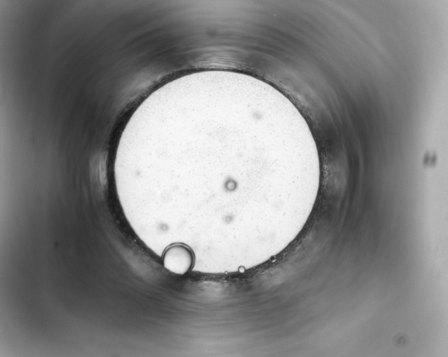 X0000102380302200808151903