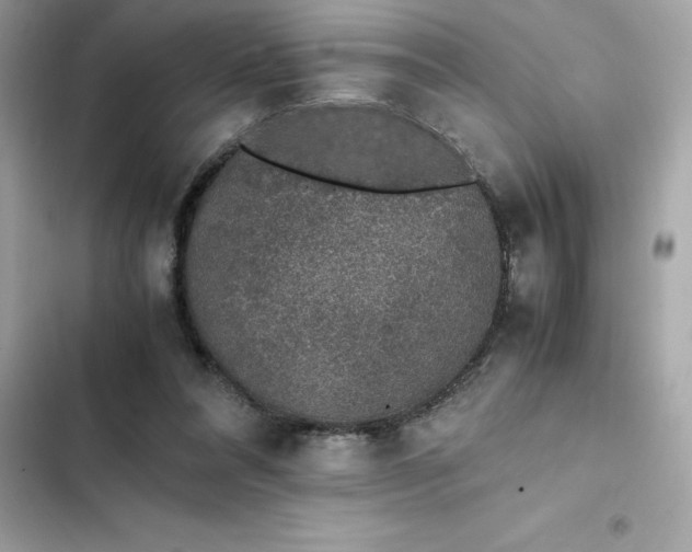 X0000102380304200808151903