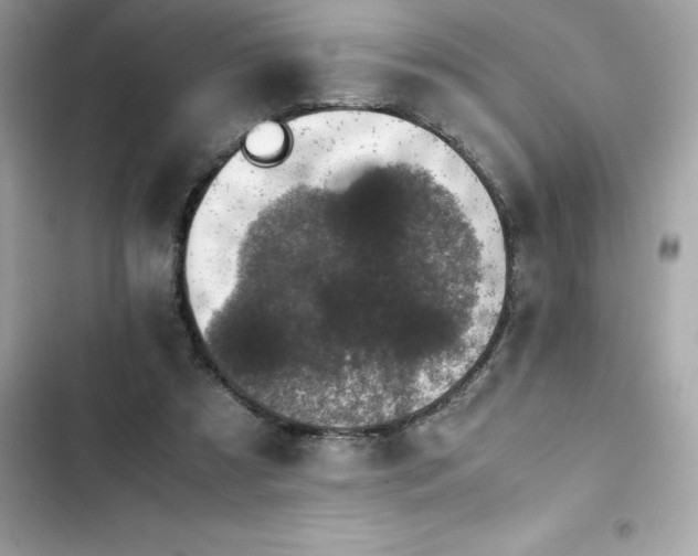 X0000102380305200808151903