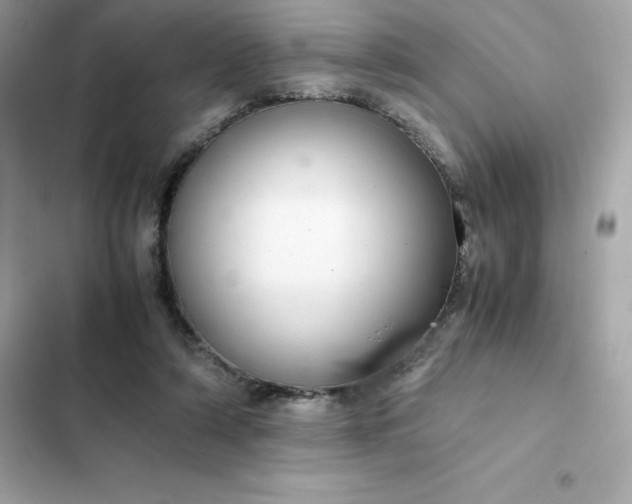 X0000102380306200808151903