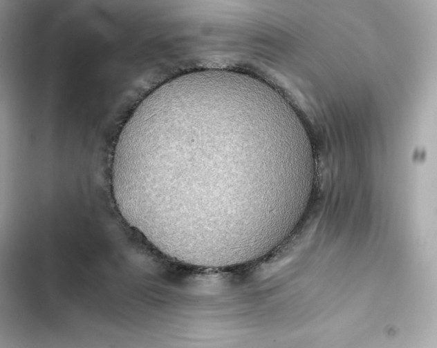 X0000102380307200808151903