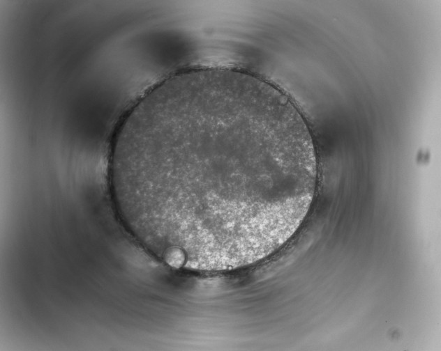 X0000102380309200808151903