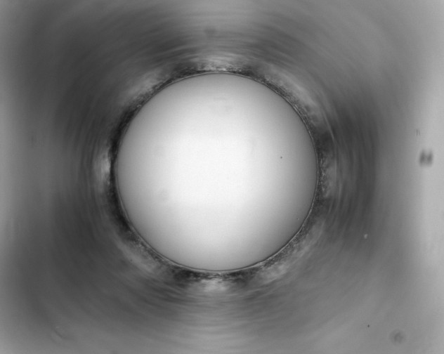 X0000102380310200808151903