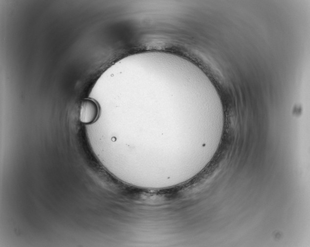 X0000102380311200808151903