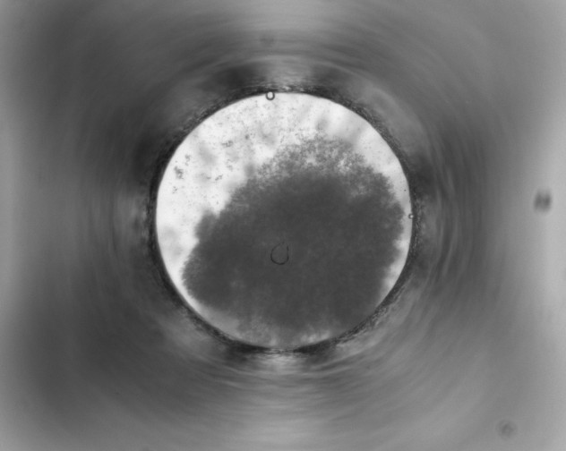 X0000102380313200808151903