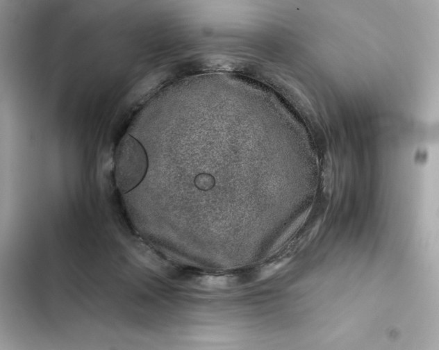 X0000102380314200808151903