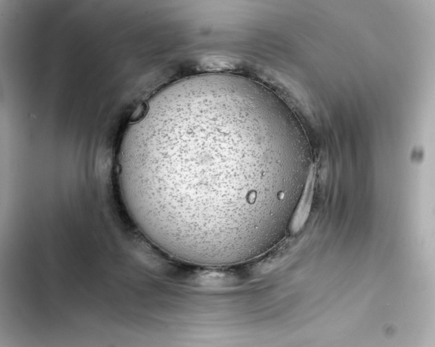 X0000102380315200808151903