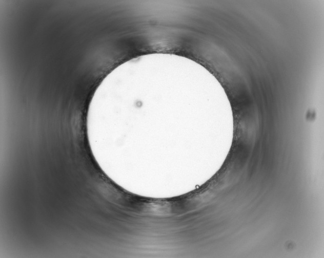 X0000102380317200808151903