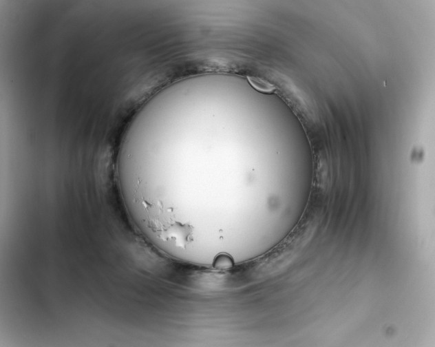 X0000102380318200808151903