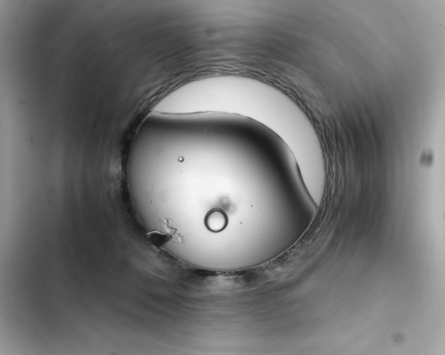 X0000102380320200808151903