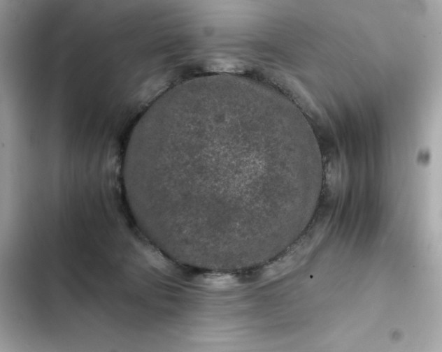 X0000102380322200808151903