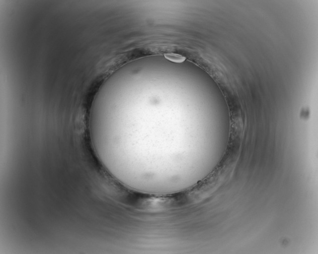 X0000102380323200808151903