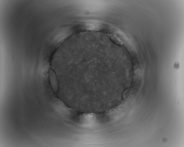 X0000102380325200808151903