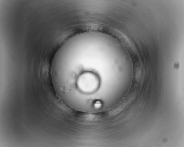 X0000102380326200808151903