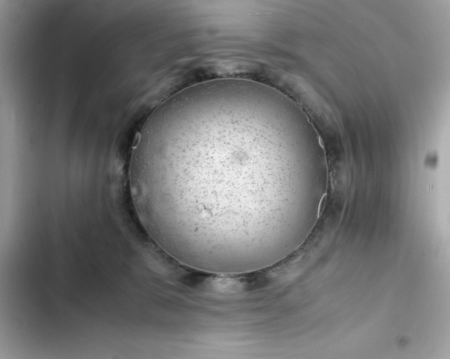 X0000102380327200808151903