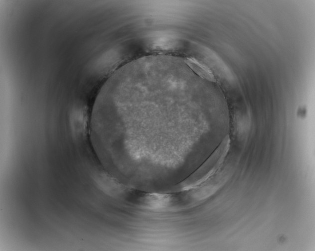 X0000102380328200808151903