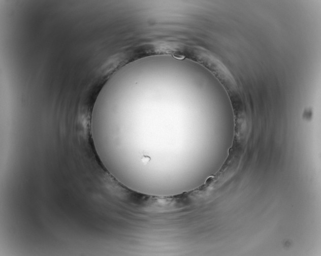 X0000102380329200808151903