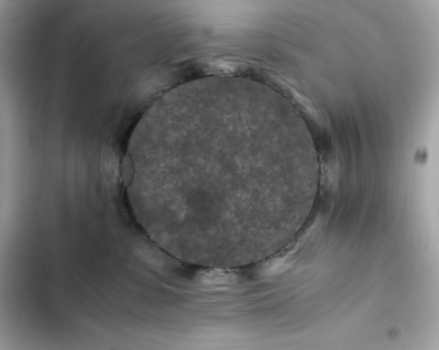 X0000102380331200808151903