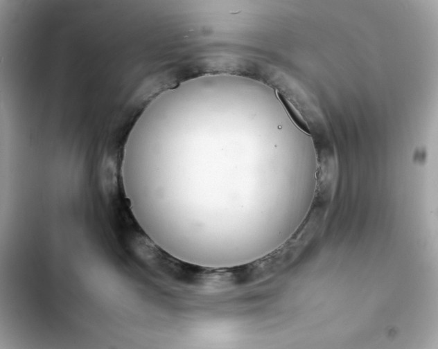 X0000102380333200808151903