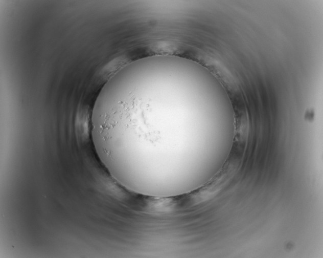 X0000102380334200808151903