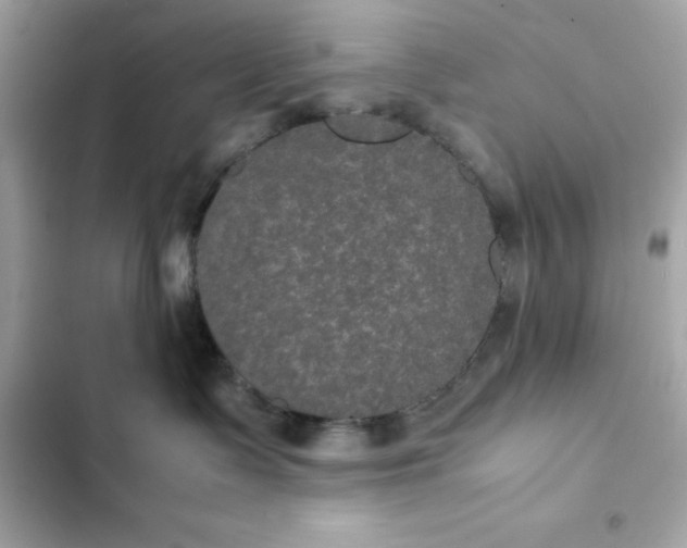 X0000102380335200808151903