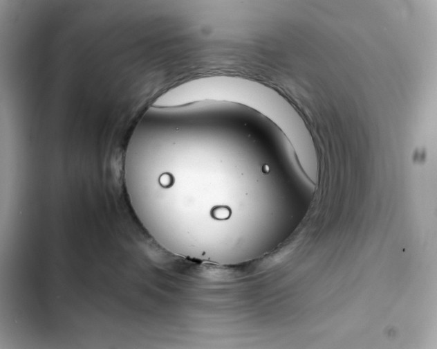 X0000102380336200808151903