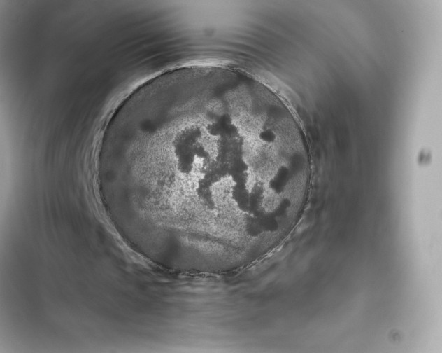 X0000102380337200808151902