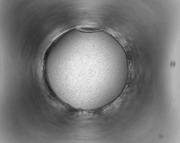 X0000102380338200808151902