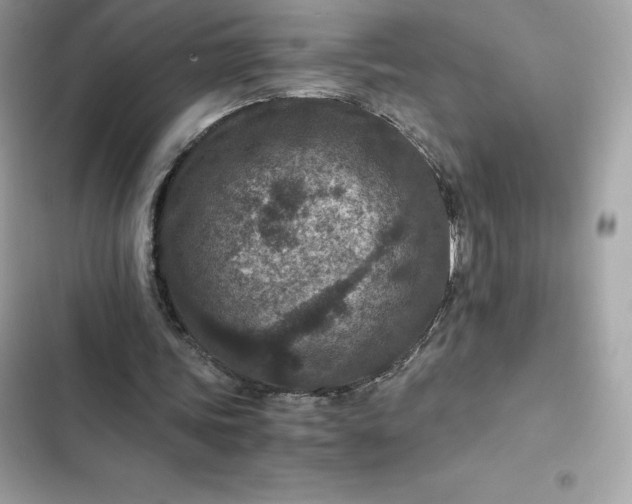 X0000102380339200808151902