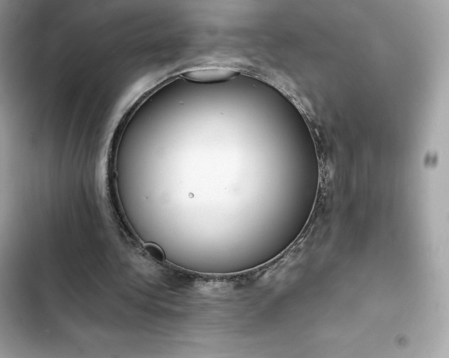 X0000102380340200808151902