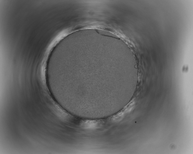 X0000102380341200808151902