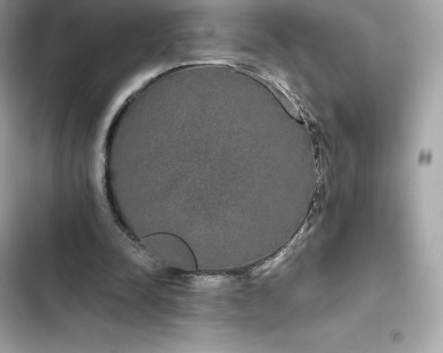 X0000102380342200808151902