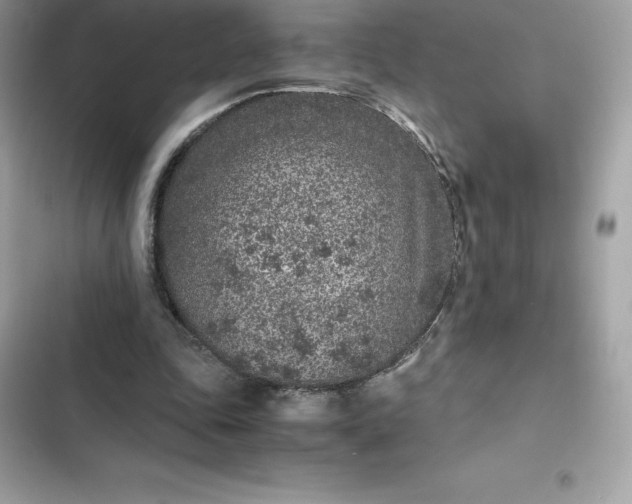 X0000102380343200808151902