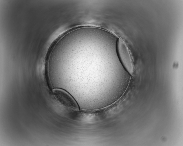 X0000102380344200808151902