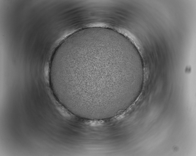 X0000102380345200808151902