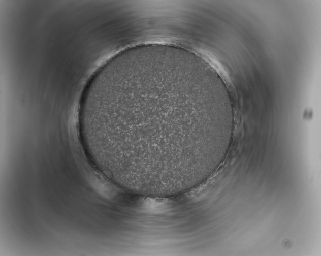 X0000102380346200808151902