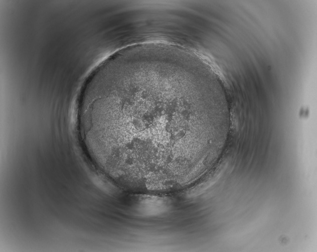 X0000102380347200808151902