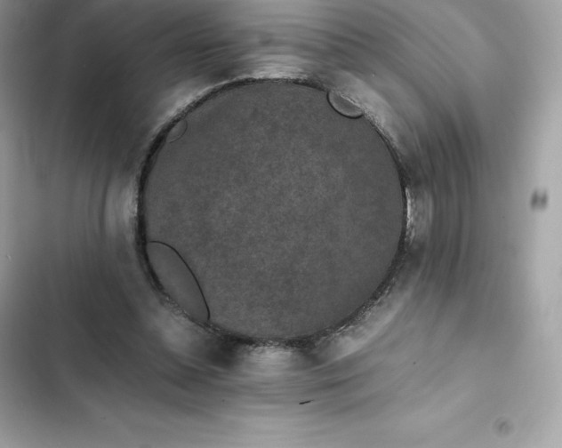 X0000102380348200808151902