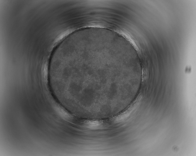 X0000102380349200808151902