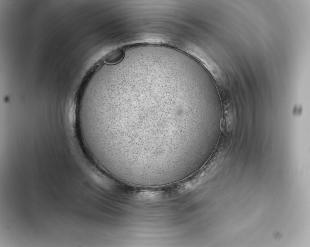 X0000102380350200808151902