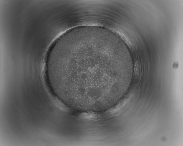 X0000102380351200808151902